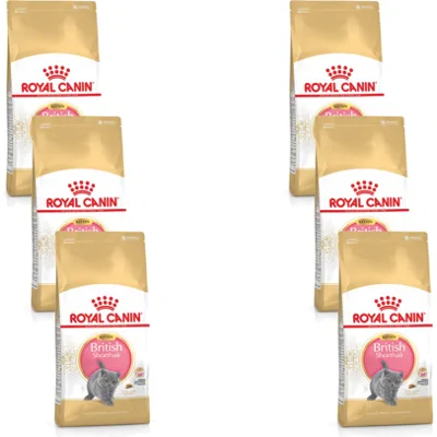 6x Royal Canin British Shorthair Kitten Kattenvoer 2 kg