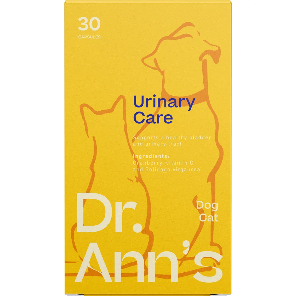 Dr. Ann's Urinary Care - 3 x 30 capsules
