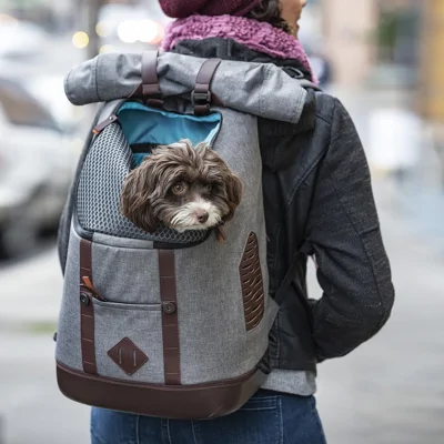 Kurgo Rucksack, Heather Grey