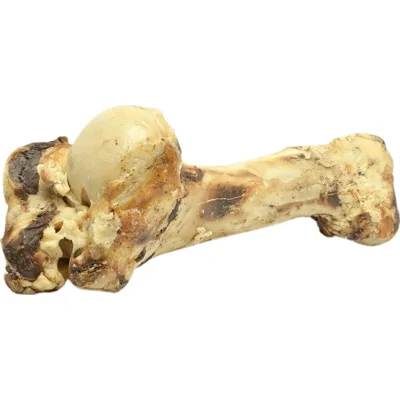 Brekz Snacks - Runderbot XL voor de hond 1 stuk