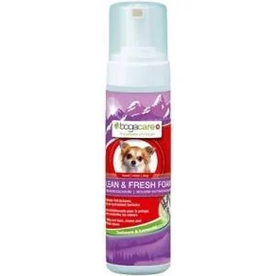 Bogacare Clean Fresh Foam droogshampoo voor hond en kat 3 x Hond