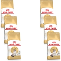 6x Royal Canin Ragdoll Kattenvoer 2 kg