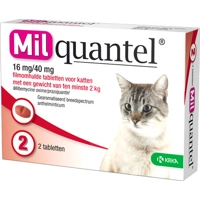 Milquantel Grote Kat (16 mg) - 2 tabletten