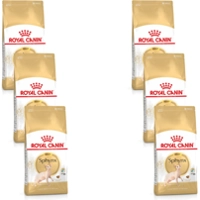 6x Royal Canin Sphynx Kattenvoer 2 kg