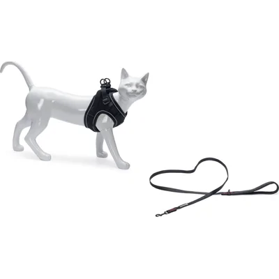 Beeztees Parinca Kattentuig - Zwart - S/M