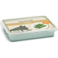 Beeztees Kattengras in Plastic Box 130gr