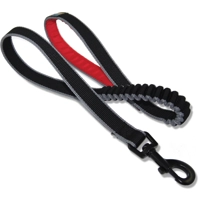 Kurgo Springback leash