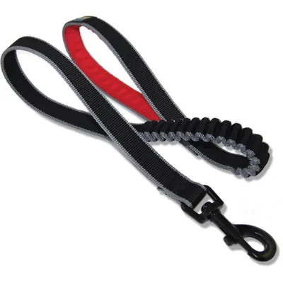 Kurgo Springback leash