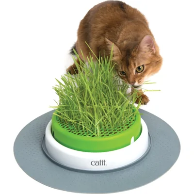 Catit Senses 2.0 Grass Planter