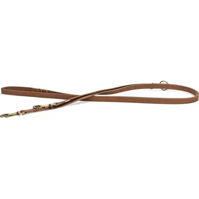 Beeztees Balacron Ax kunstleer hondenriem - verstelbaar - bruin - 300 × 2.5 cm