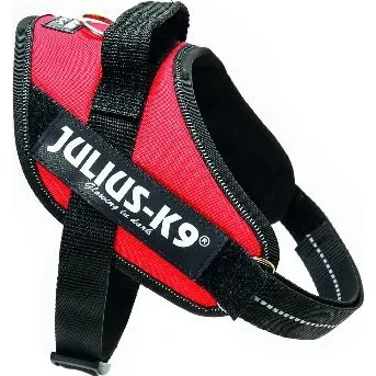 Julius K9 IDC Powertuig Mini Mini Rood