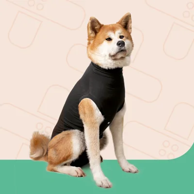 Suitical Recovery Suit Hond - XXL - Zwart