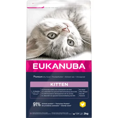 Eukanuba Kitten Healthy Start 10 kg
