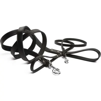 Beeztees Geniet Hondenriem - Zwart - 130 cm x 20 mm