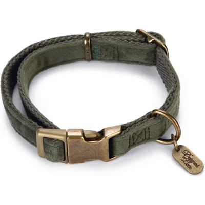 Designed by Lotte Velura - Hondenhalsband   - Groen - 26-40 x 15 cm