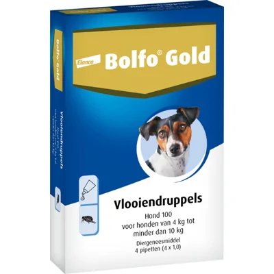 Bolfo Gold Hond 100 - 4 Pipetten