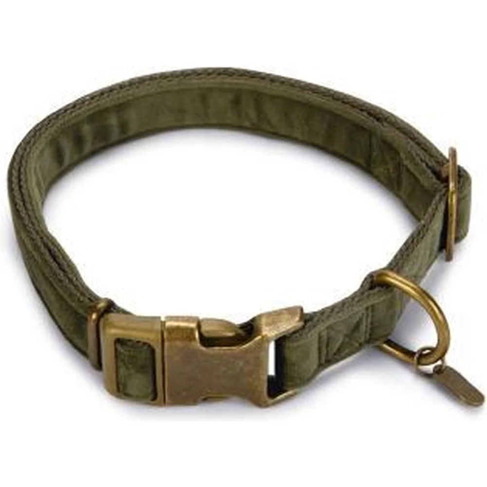 Designed by Lotte Velura - Hondenhalsband   - Groen - 48-70 x 25 cm
