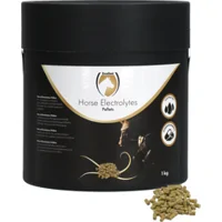 Excellent Horse Electrolytes Pellets - 1 kg Excellent Horse Electrolytes Pellets - 1 kg