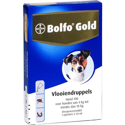 Bolfo Gold Hond 100 - 2 Pipetten