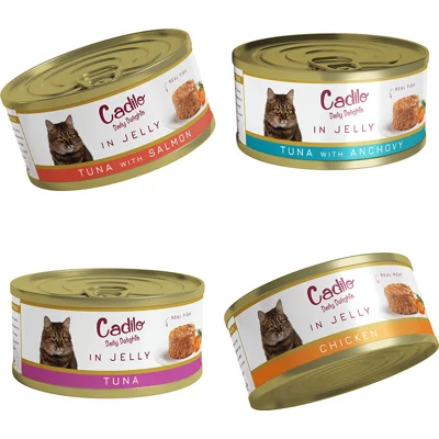 Cadilo Daily Delights - gelei smakenmix - natvoer kat (12 x 70 g) 1 verpakking (12 x 70g)