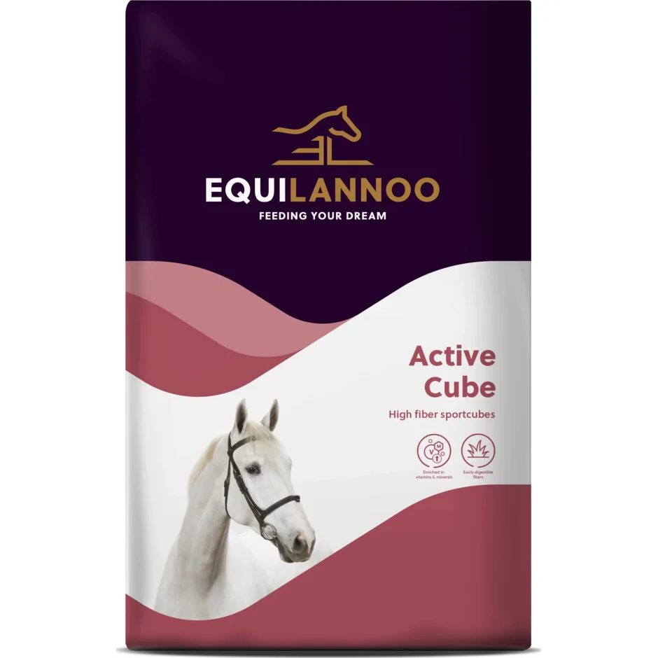 Equilannoo Active Cube 20 kg