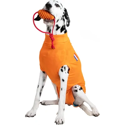 Medical Pet Shirt Hond Oranje - XXXS