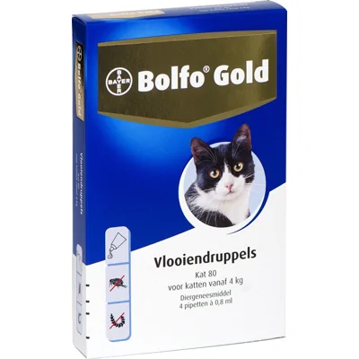 Bolfo Gold Kat 80 - 4 Pipetten