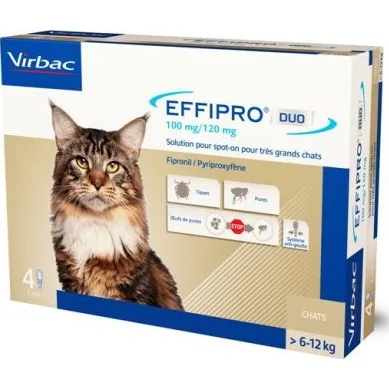 Effipro Duo Spot-On Kat vanaf 6 kg - 4 pip