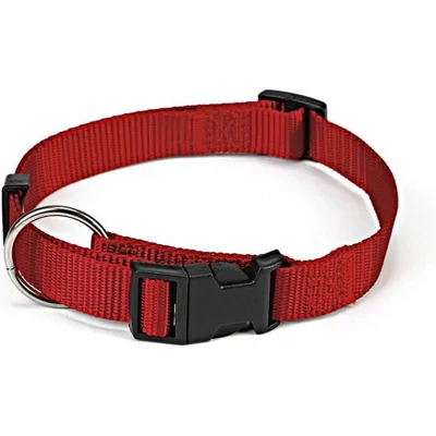 Beeztees Halsband Hond - Rood - Nylon - 22-35 cm x 10 mm