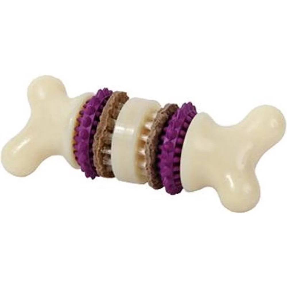 Premier Busy Buddy Bristle Bone
