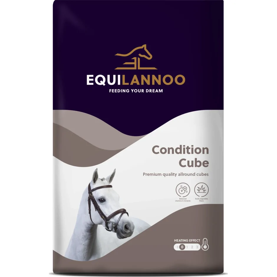 Equilannoo Condition Cube 20 kg