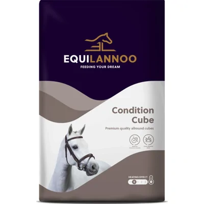 Equilannoo Condition Cube 20 kg