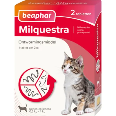 Beaphar Milquestra Kleine Kat/Kitten - 2tbl
