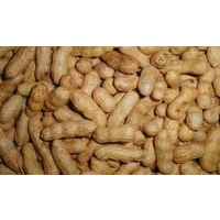Doppinda's voor vogels 10 kg