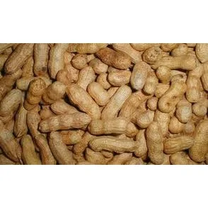 Doppinda's voor vogels 10 kg