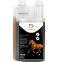 Excellent Equi Flex HA liquid 1 liter product name
