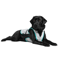 Suitical Large product name