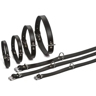 Beeztees Halsband Hond Leer - Zwart - 52 cm x 20 mm