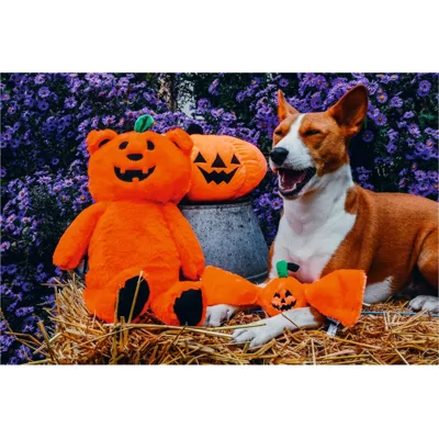 Beeztees Halloween Pompoenbeer hondenspeelgoed
