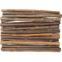 Trixie Wilgentakjes 20 stuks