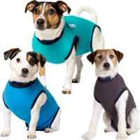 Jacketz Medical Body Suit Hond - XS - Aqua Green