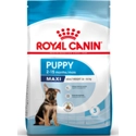 Royal Canin Maxi Junior 15 kg