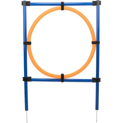 Trixie Fun Agility Ring hond