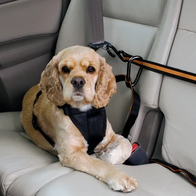 Kurgo Auto Zip Line voor honden