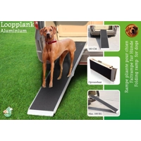 Boon Loopplank Aluminium Antislip - 183 cm - Max 100 kg