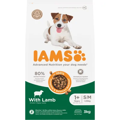 IAMS Dog Adult Small - Medium Lam 3 kg