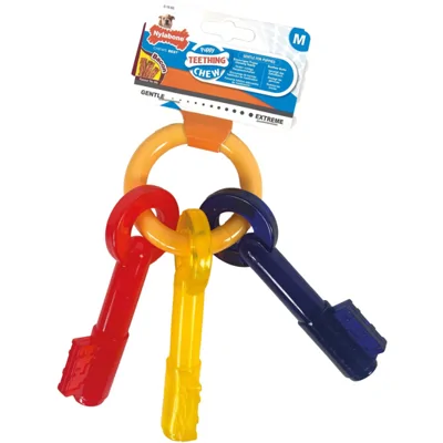 Nylabone Teething Puppy Keys - 'Medium (middel hondenras tot 16 kg)