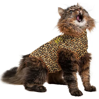 Medical Pet Shirt Kat Luipaard Print - XXS