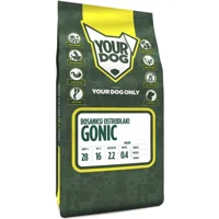 Yourdog Bosanksi Ostrodlaki Gonic Pup 3kg Yourdog Bosanksi Ostrodlaki Gonic Pup 3kg