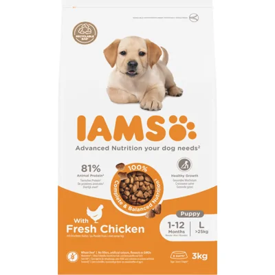 IAMS Dog Puppy - Junior Large Kip 3 kg